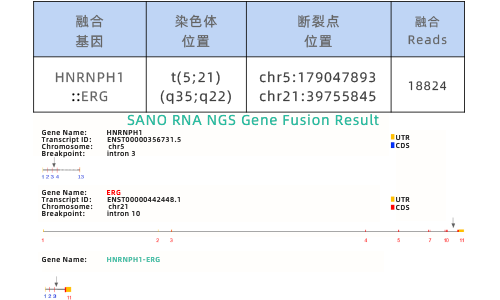 4. RNA NGS