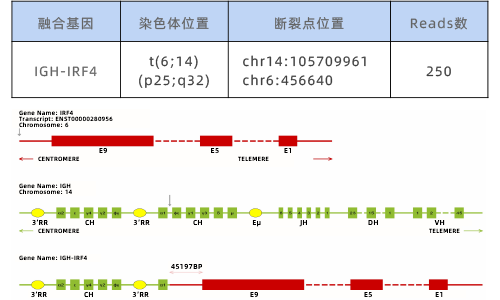 4. DNA NGS