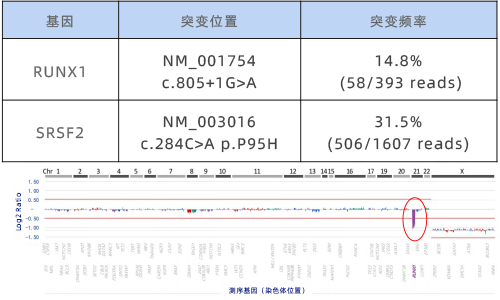 2. 骨髓 DNA NGS