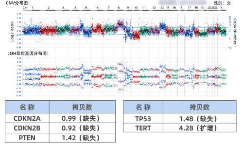 5. DNA NGS-CNV/LOH分析