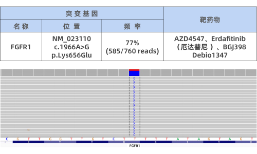 2. DNA NGS-突变分析