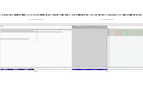4. RNA NGS