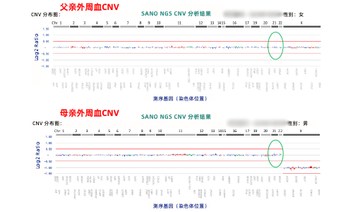    4. 父母外周血结果