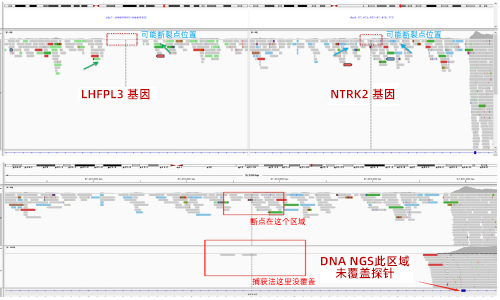 5. 全基因组重排