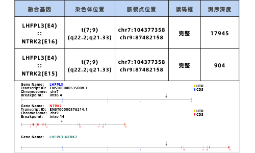 2. SANO RNA NGS