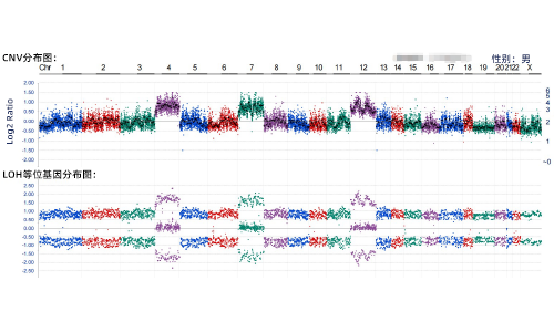 3. DNA NGS-CNV/LOH分析