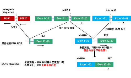 5. DNA VS RNA