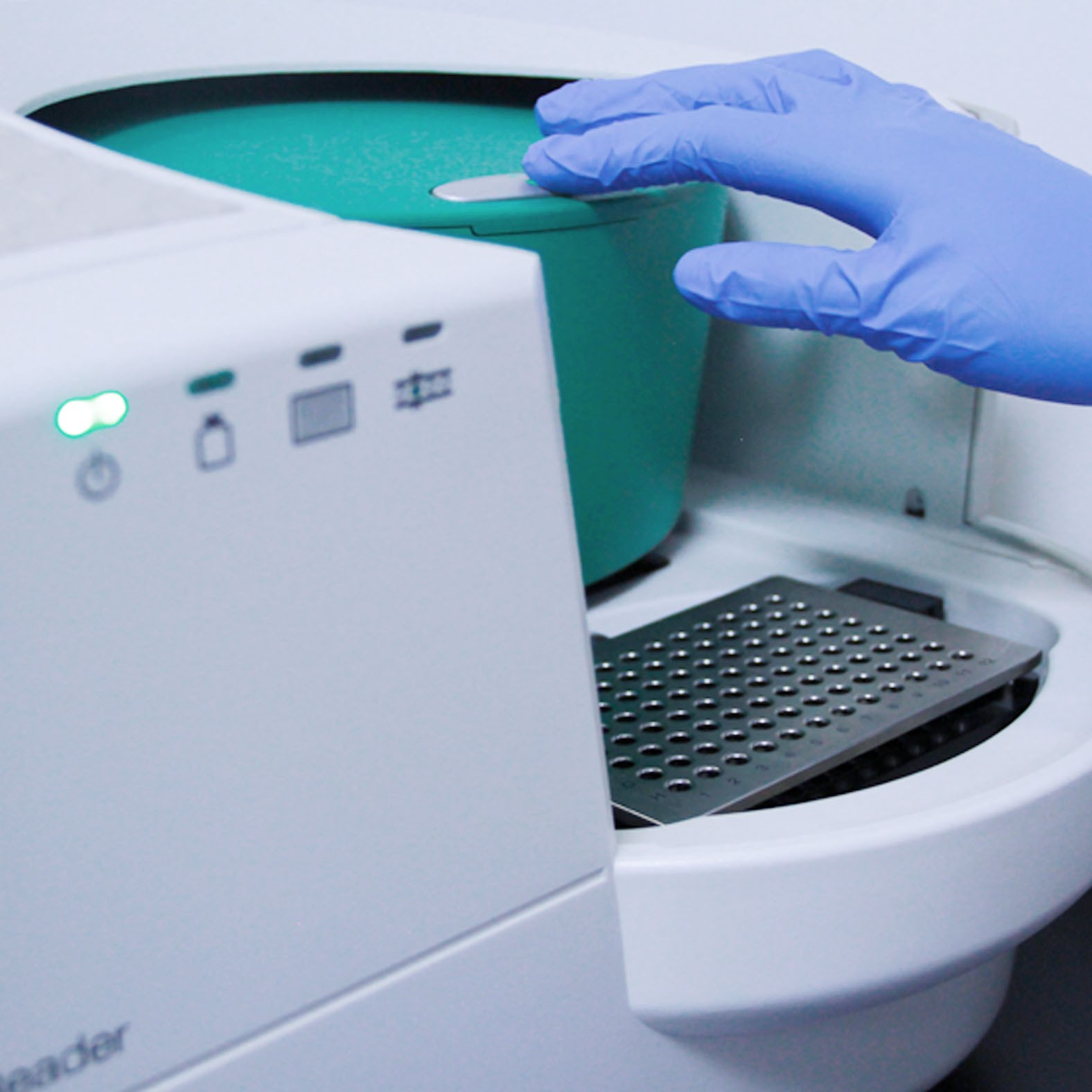 ddPCR