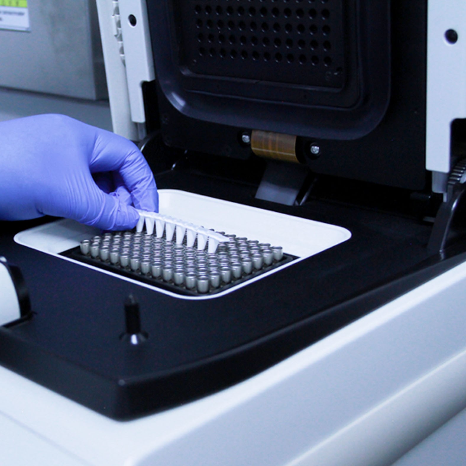 qPCR