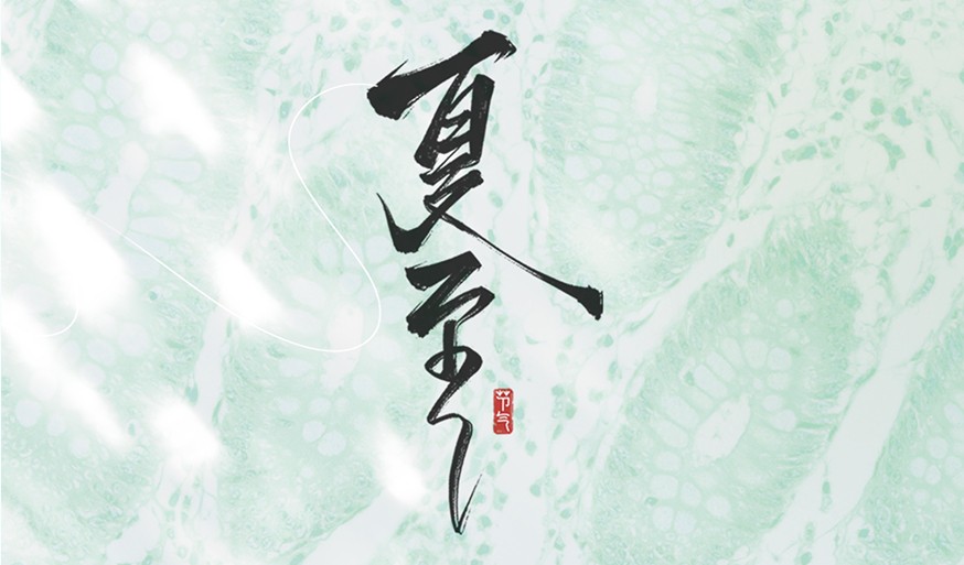 夏至阳最盛，免疫当守护