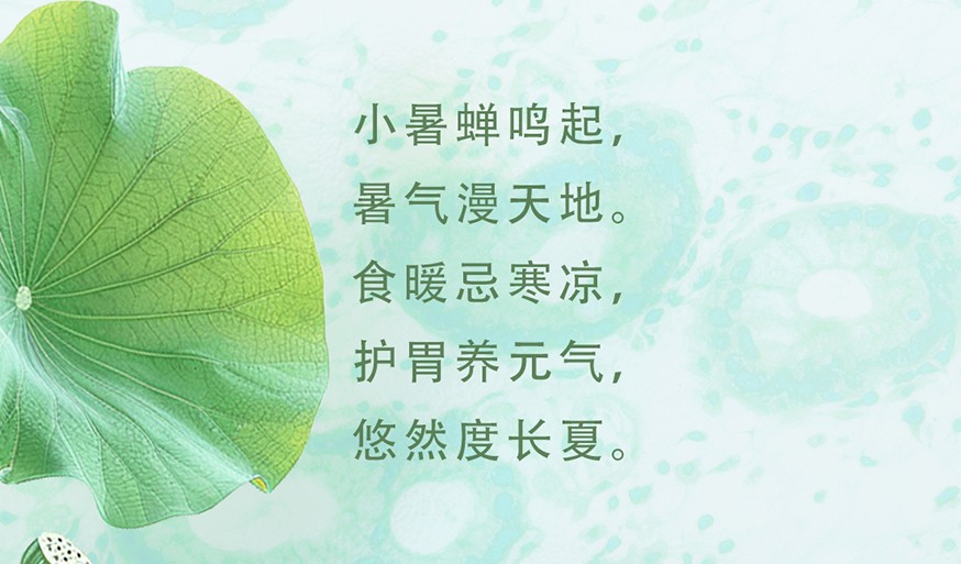 小暑蝉鸣起，护胃养元气