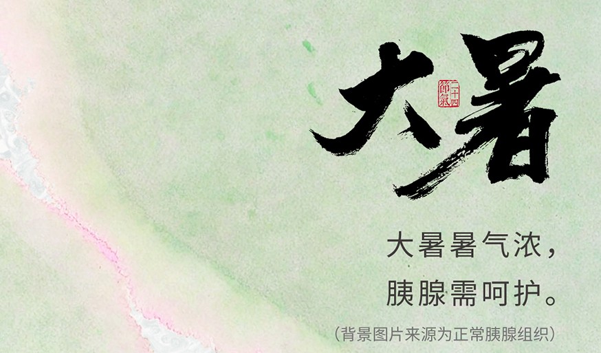 大暑萤火起，健脾安养胰