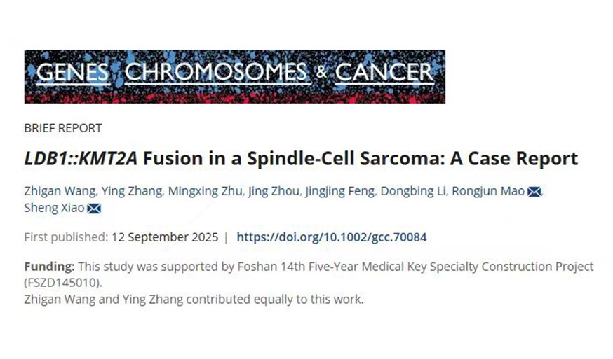 首例发现！LDB1::KMT2A融合基因驱动的梭形细胞肉瘤