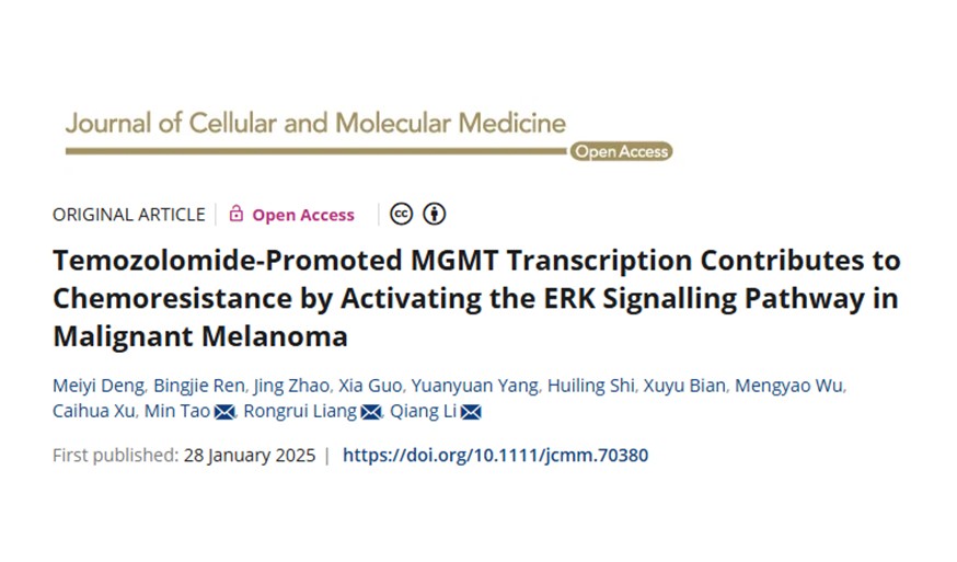 校企合作 | 从恶性黑色素瘤到乳腺癌： MGMT表达调控及其在化疗耐药中的意义