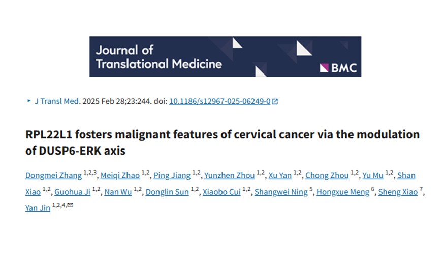 校企合作 | RPL22L1在宫颈癌中的关键作用及联合治疗潜力： 推动个性化治疗新突破