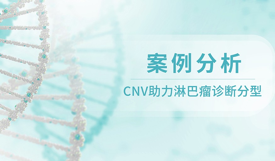 案例分析 | CNV助力淋巴瘤诊断分型：一例疑似DLBCL被分子病理确诊为HGBCL-11q