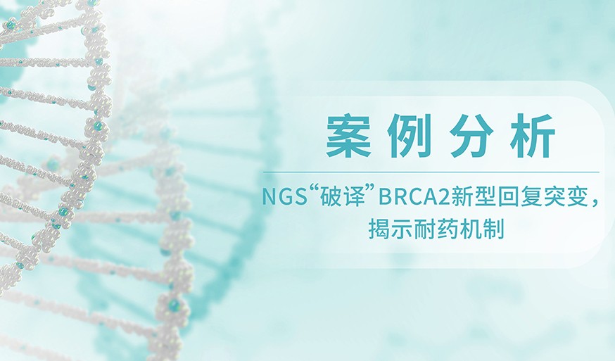 案例分析 | NGS“破译”BRCA2新型回复突变，揭示耐药机制