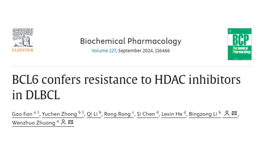 校企合作丨BCL6介导弥漫大B细胞淋巴瘤对西达本胺耐药的机制及应对策略