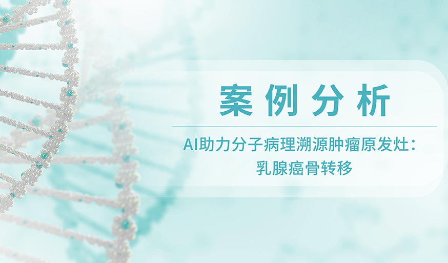 案例分析丨AI助力分子病理溯源肿瘤原发灶: 乳腺癌骨转移