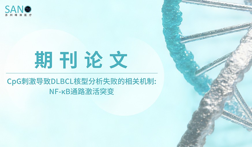学术论文 | CpG刺激导致DLBCL核型分析失败的相关机制: NF-κB通路激活突变